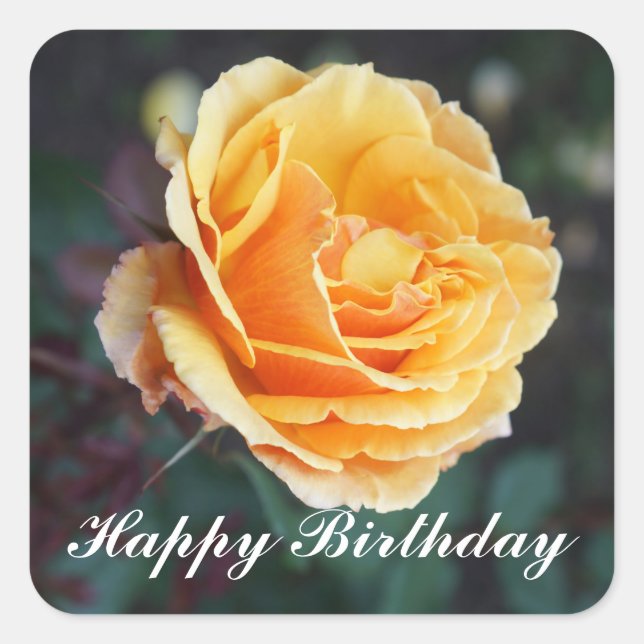 Pegatina Cuadrada Feliz cumpleaños por el Rosa #3 Pegatinas (Anverso)