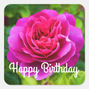 Pegatina Cuadrada Feliz cumpleaños, princesa Anne Rosa #1 Pegatinas