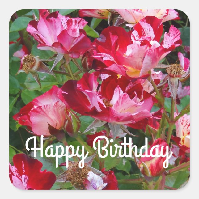 Pegatina Cuadrada Feliz cumpleaños, Rosa #2 Pegatinas el 4 de julio (Anverso)