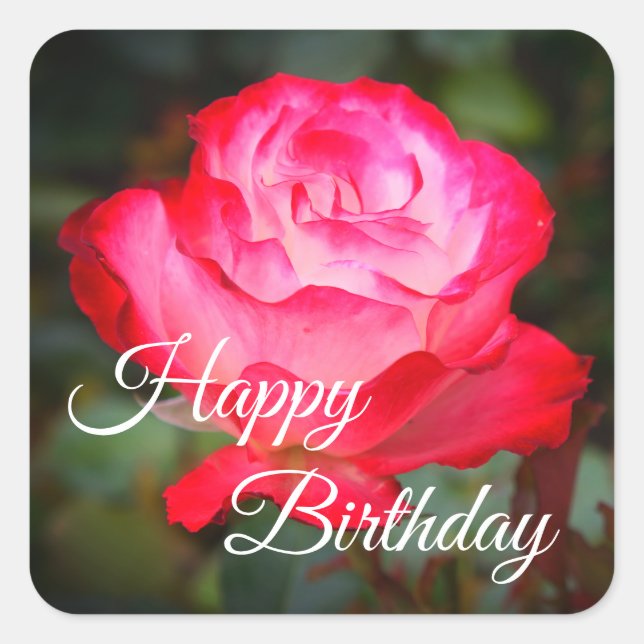 Pegatina Cuadrada Feliz cumpleaños, Rosa de ferry Parfait #3 Pegatin (Anverso)