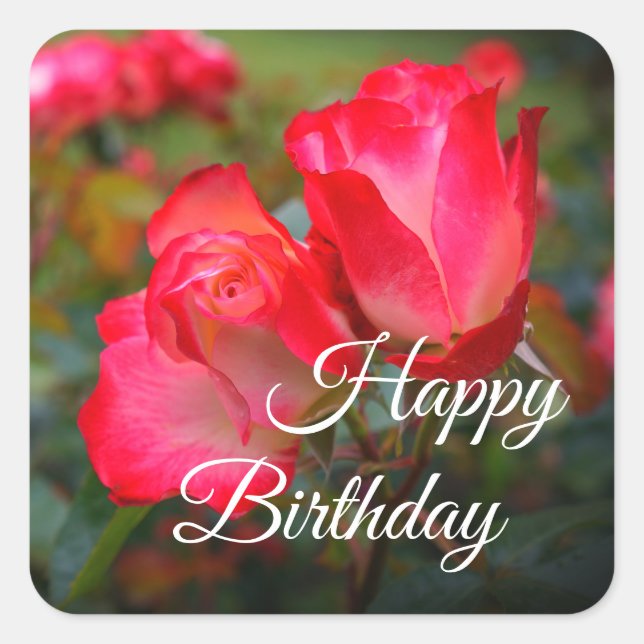 Pegatina Cuadrada Feliz cumpleaños, Rosa de ferry parfait #4-2 Pegat (Anverso)