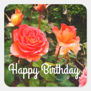 Pegatina Cuadrada Feliz cumpleaños, Rosa de la banda de Brass #1-1 P