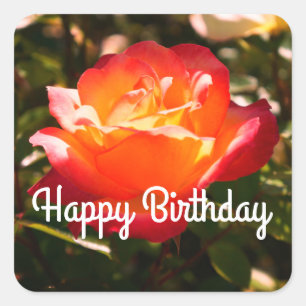 Pegatina Cuadrada Feliz cumpleaños, Rosa de Rainbow Sorbet #5 Pegati