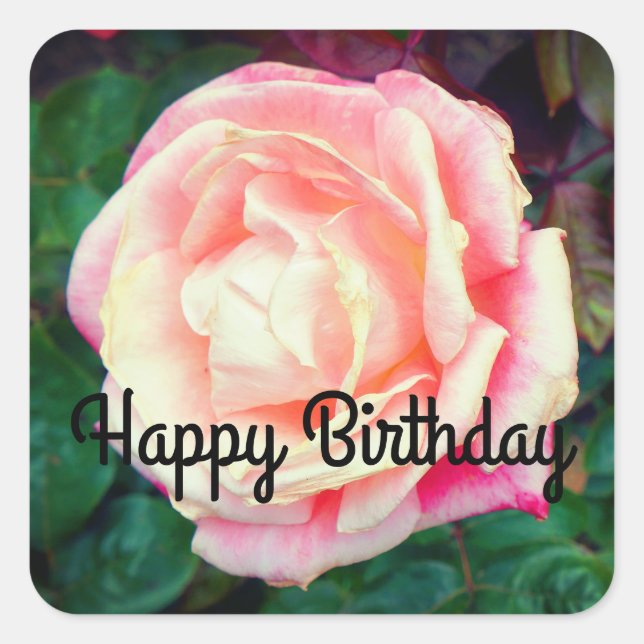 Pegatina Cuadrada Feliz cumpleaños, Rosa Gemini #1 Pegatinas (Anverso)