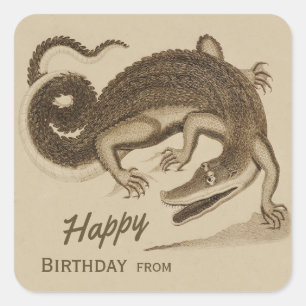 Pegatina Cuadrada Feliz cumpleaños salvaje cocodrilo alegre CC0892