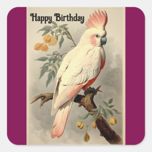 Pegatina Cuadrada Feliz Cumpleaños Sticker Pájaro Tropical