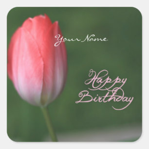 Pegatina Cuadrada feliz cumpleaños tulipán rojo flor