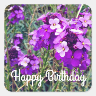 Pegatina Cuadrada Feliz cumpleaños Wallflower Bowles Mauve #1 Pegati