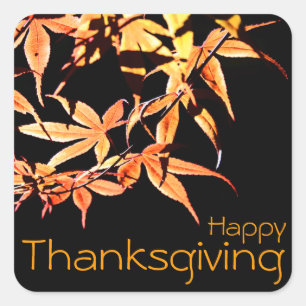 Pegatina Cuadrada Feliz Día de Acción de Gracias con Maples - Colore