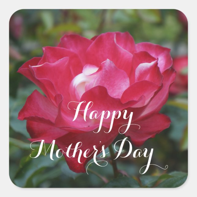 Pegatina Cuadrada Feliz Día de la Madre, ¡Feliz Paraíso de cerezos!  (Anverso)