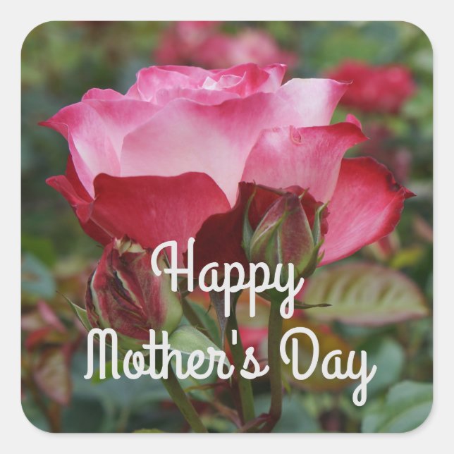 Pegatina Cuadrada Feliz Día de la Madre Rosa de Parfait #1-2 (Anverso)