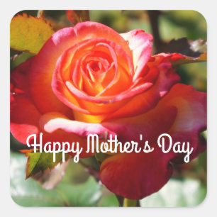 Pegatina Cuadrada Feliz Día de la Madre, sueño hecho Rosa #2 Pegatin