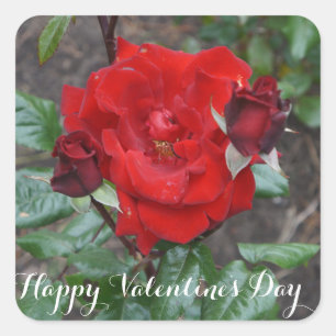Pegatina Cuadrada Feliz Día de San Valentín Crimson Bouquet #1 Pegat