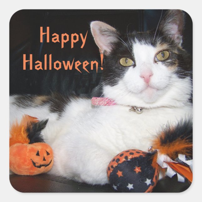 Pegatina Cuadrada Feliz Gato de Halloween Calico Kitty (Anverso)