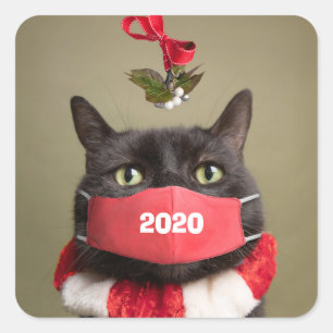 Pegatina Cuadrada Feliz gato navideño bajo Mistletoin en máscara fac