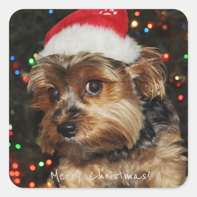 Pegatina Cuadrada Feliz Navidad (Anverso)