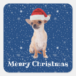 Pegatina Cuadrada Feliz Navidad Chihuahua Santa 2