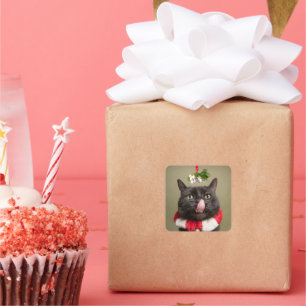 Pegatina Cuadrada Feliz Navidad Para Cualquier Gato Bajo Mistleto