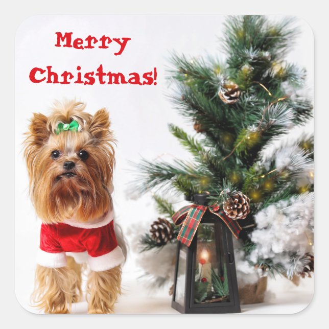 Pegatina Cuadrada Feliz Navidad Santa Yorkie con árbol de Navidad (Anverso)