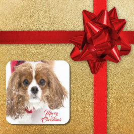 Pegatina Cuadrada Feliz Navidad Snowowy Cavalier King Charles