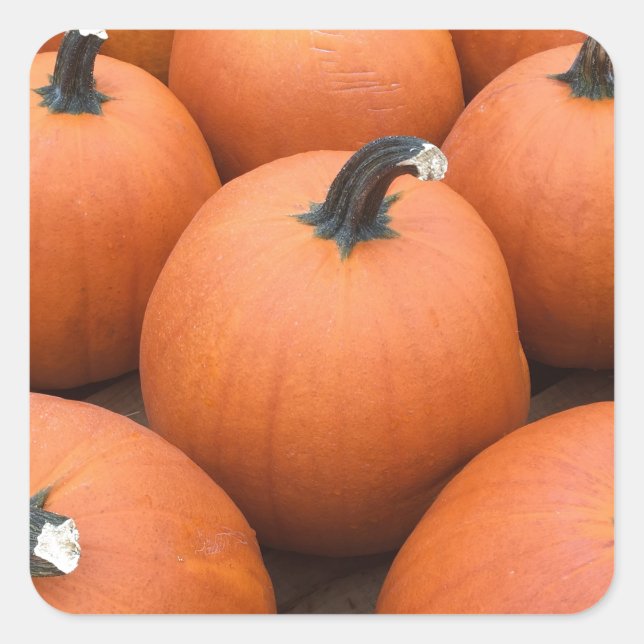 Pegatina Cuadrada Feliz tallado (Anverso)