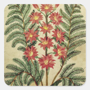 Pegatina Cuadrada Fern con flores rojas y amarillas