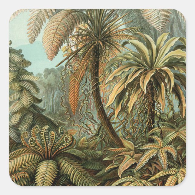 Pegatina Cuadrada Ferns Palm Tree Antique Botanica Ferns Art (Anverso)