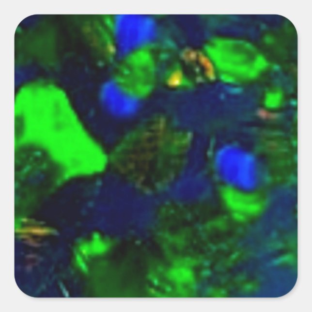 Pegatina Cuadrada Feroy Regalos Opales Verde-Negro De Sharles (Anverso)