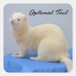 Pegatina Cuadrada Ferret Mascota blanco personalizado