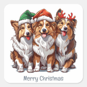 Pegatina Cuadrada Ferry Christmas Shetland Sheepdogs
