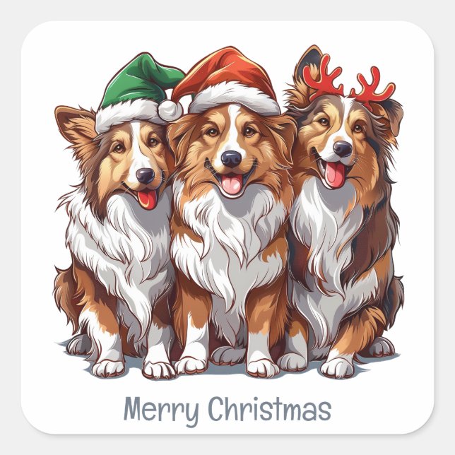 Pegatina Cuadrada Ferry Christmas Shetland Sheepdogs (Anverso)