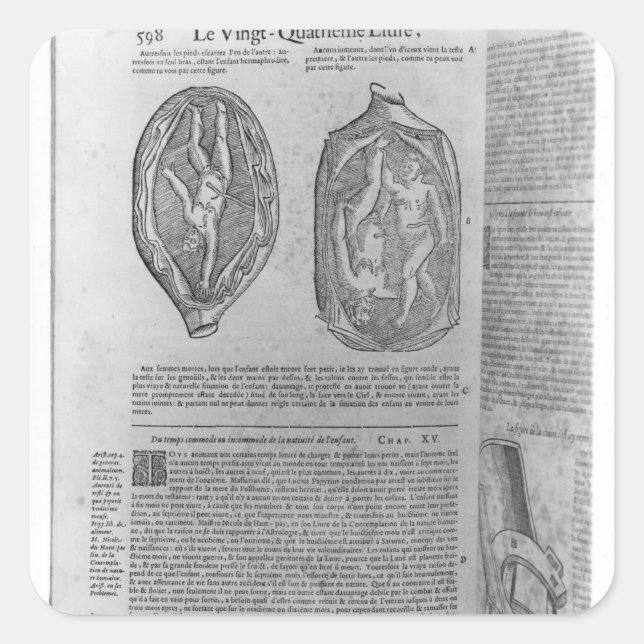 Pegatina Cuadrada Feto, ilustracion de 'Oeuvres' (Anverso)
