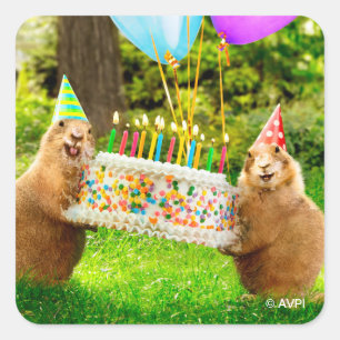 Pegatina Cuadrada Fiesta de Cumpleaños de Perro de la Pradera