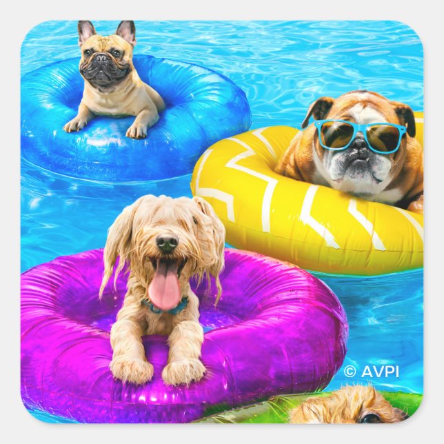 Pegatina Cuadrada Fiesta de perros en la piscina (Anverso)