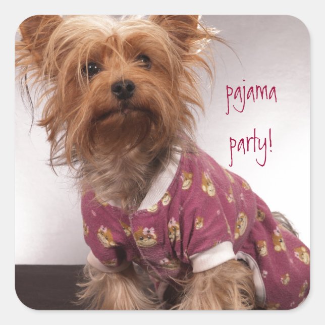Pegatina Cuadrada Fiesta de pijama de Yorkie (Anverso)