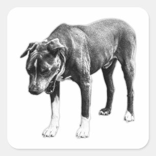 Pegatina Cuadrada Filtro cero - Amanecer de perro sin cabeza