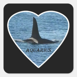 Pegatina Cuadrada Fin de ballena asesino "Aquarius" Orca