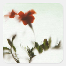 Finalmente la primavera!