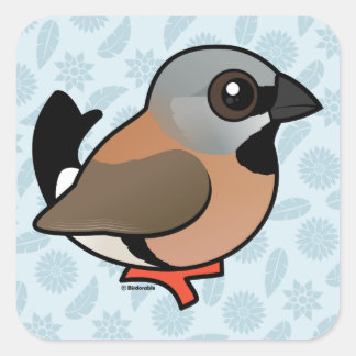 Pegatina Cuadrada Finch de garganta negra