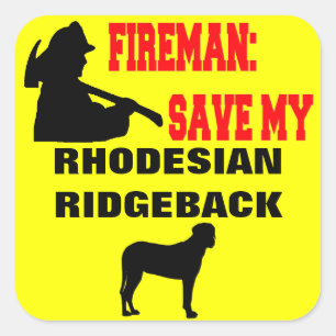 Pegatina Cuadrada Fireman Salva A Mi Perro Ridgeback Rhodesiano
