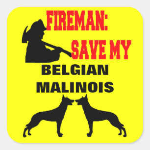 Pegatina Cuadrada Fireman salva a mis dos perros malinois belgas