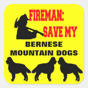 Pegatina Cuadrada Fireman salva a mis tres perros de montaña de Bern
