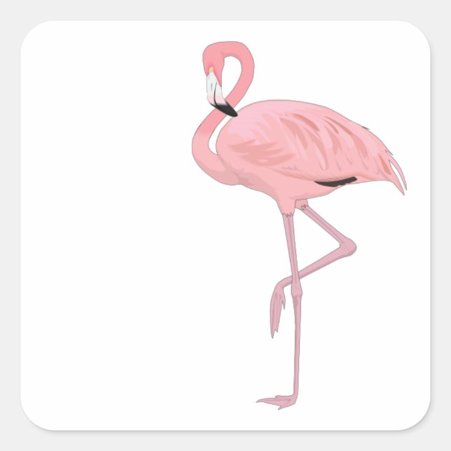 Pegatina Cuadrada Flamenco Rosa de Pie en una Pata (Anverso)