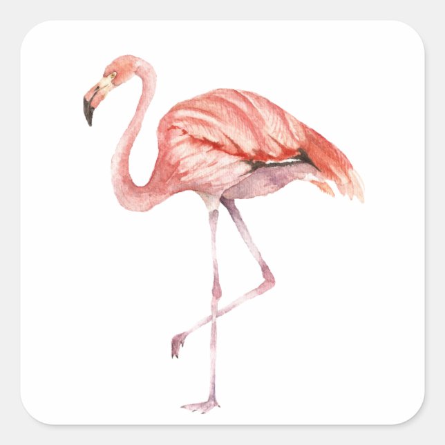Pegatina Cuadrada Flamingo rosa (Anverso)