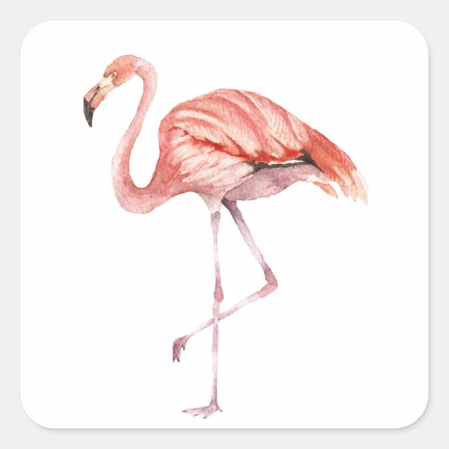 Pegatina Cuadrada Flamingo rosa (Anverso)