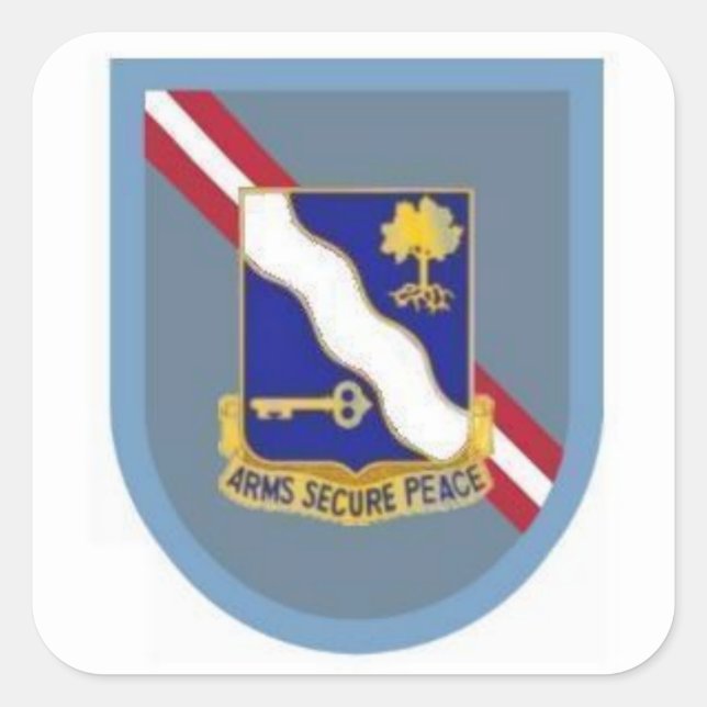 Pegatina Cuadrada Flash DUI 1ª Bn 143ª Inf 36ª Abn Bde Pegatinas (Anverso)