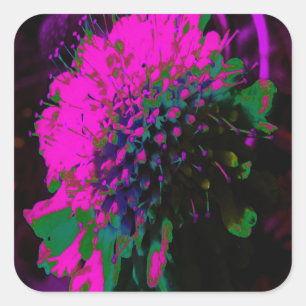 Pegatina Cuadrada Flor Abstracta Retro Tripiante de Rosa Caliente y 