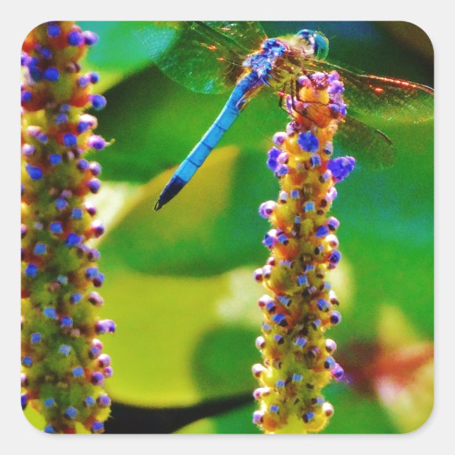 Pegatina Cuadrada Flor azul (Anverso)
