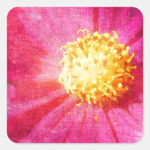 Pegatina Cuadrada Flor de Cosmo