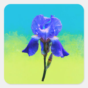 Pegatina Cuadrada Flor de iris